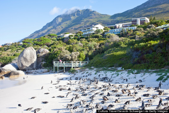 boulders beach