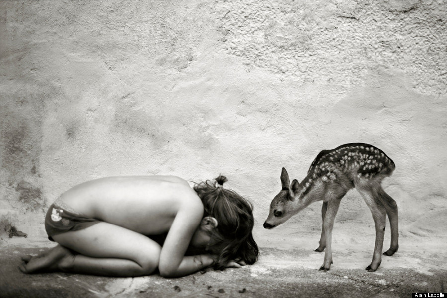 alain laboile