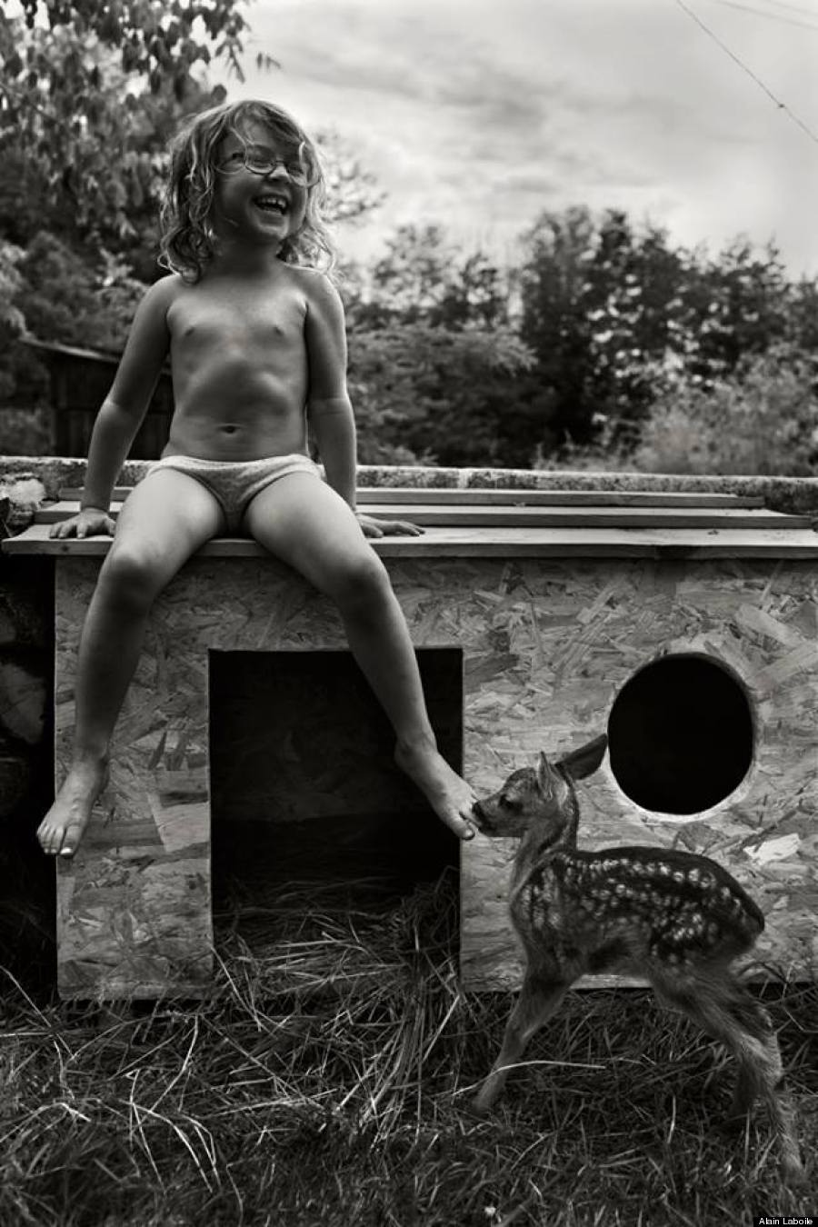 alain laboile