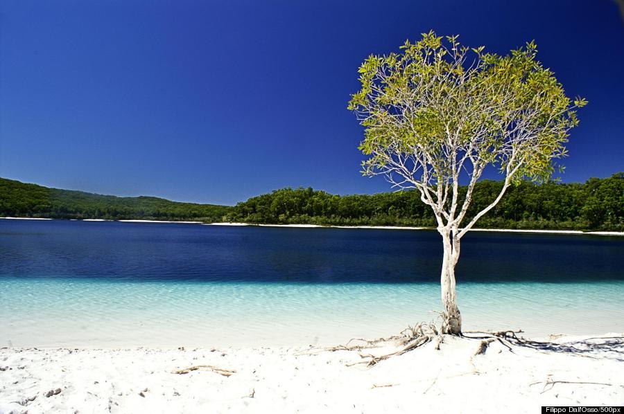 fraser island