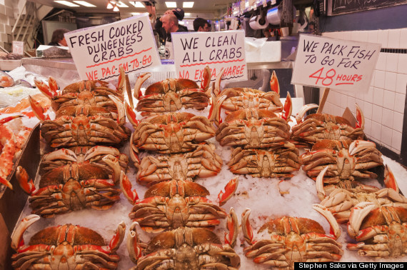 seattle dungeness crab