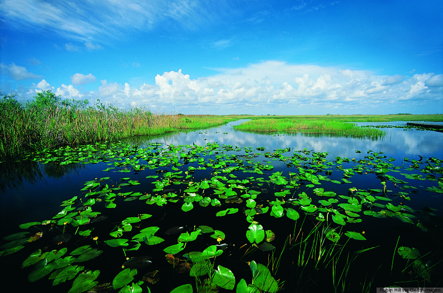 everglades national park