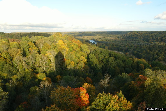 gauja national park