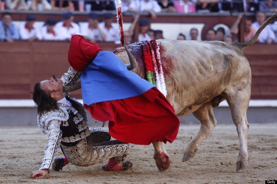 bullfighting accidents