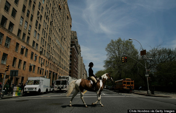 claremont riding academy