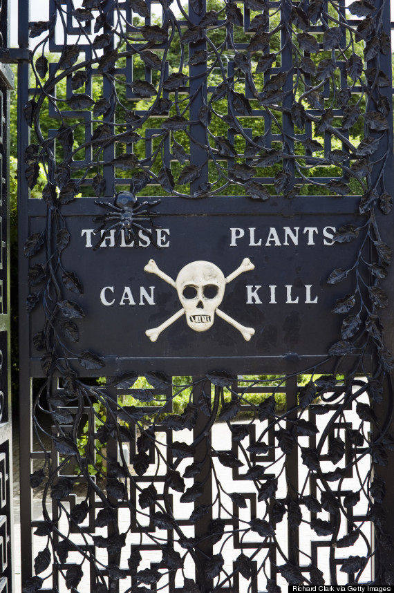alnwick poison garden