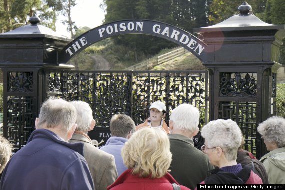 alnwick poison garden