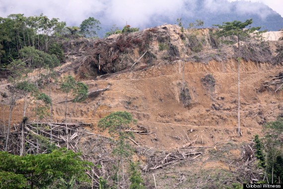 borneo