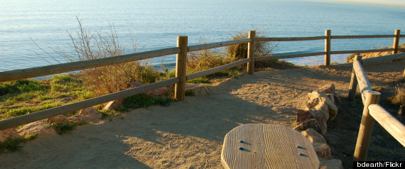 torrey pines