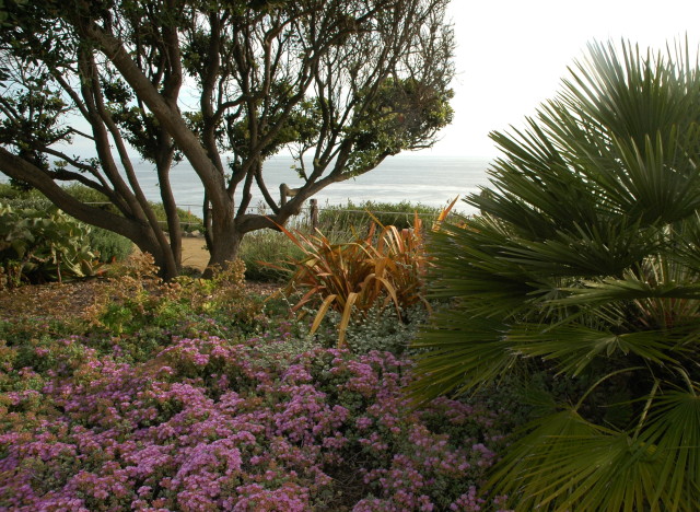 self realization gardens