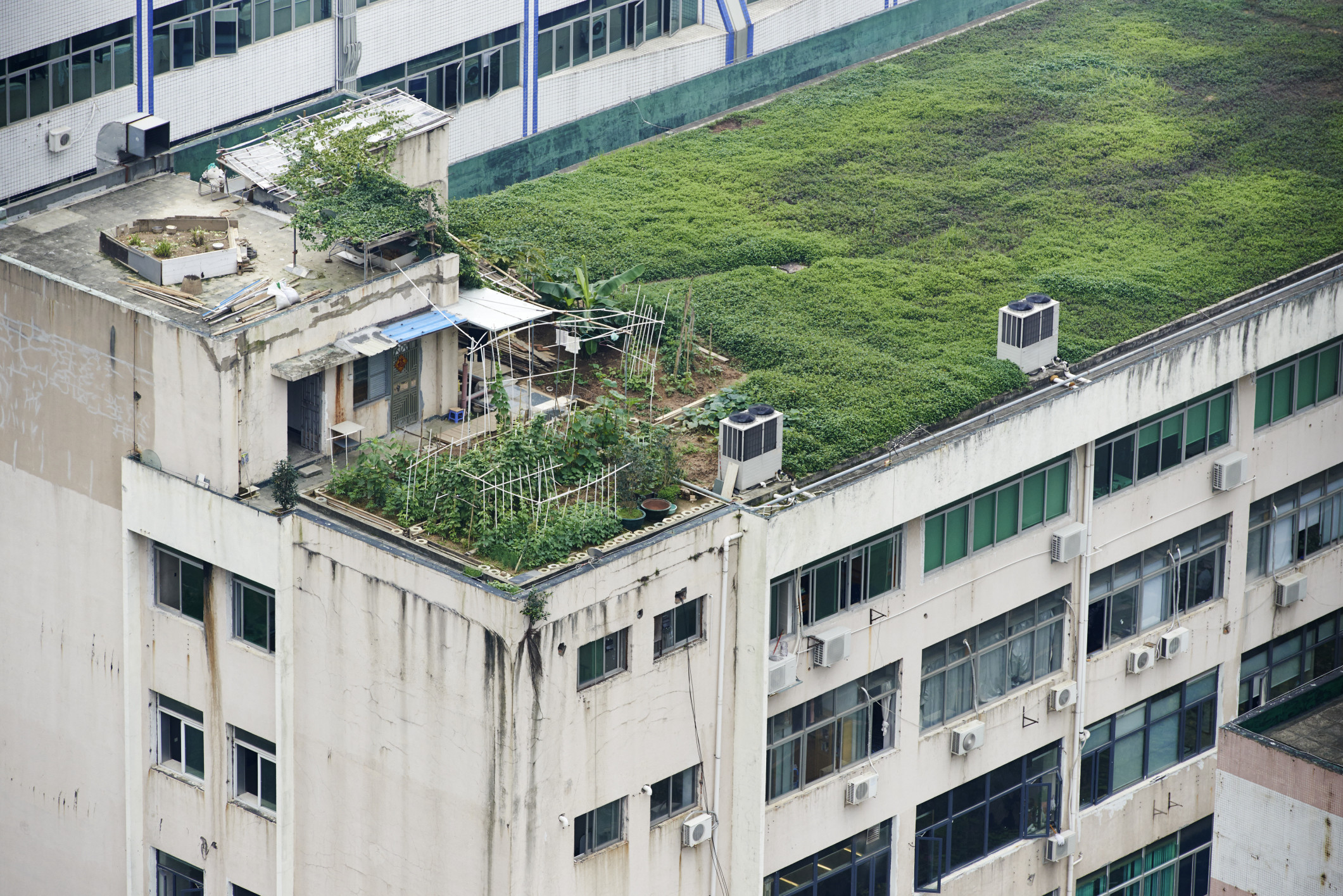 urban farming