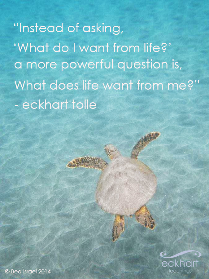 eckhart tolle