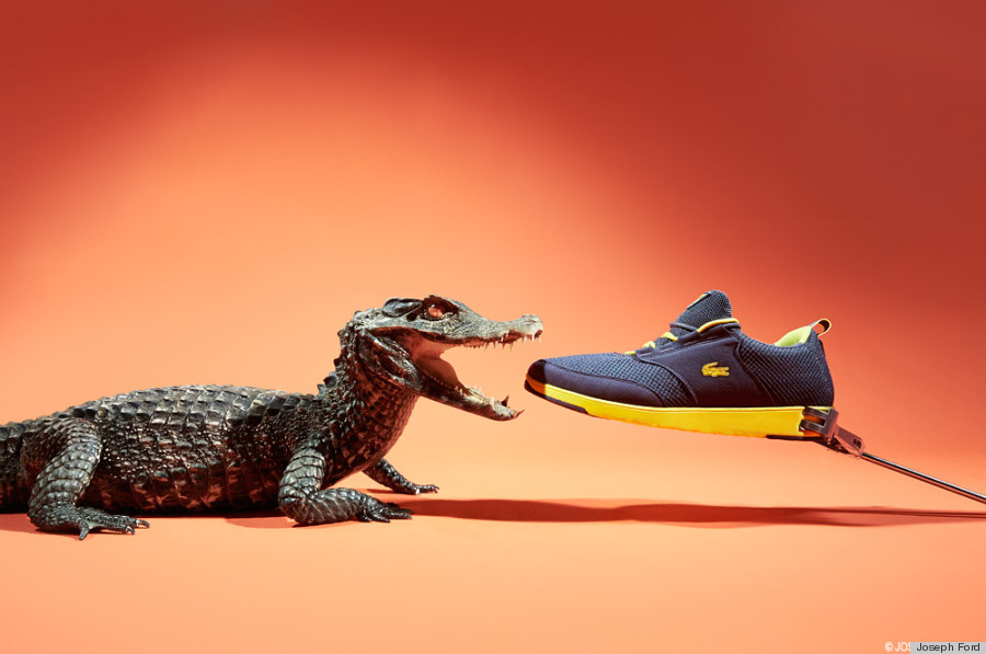 sneakers crocodile