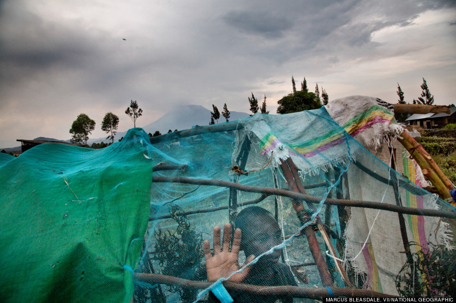 refugee goma