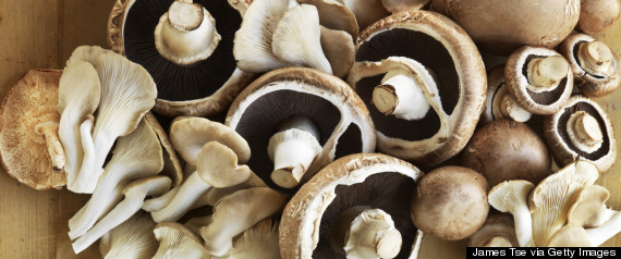 organic mushrooms