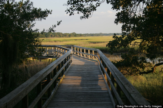 cumberland island georgia