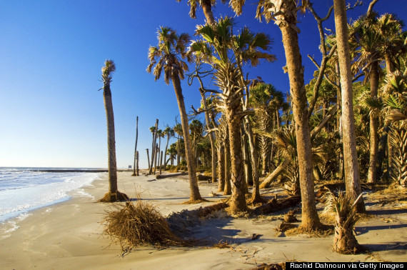 hunting island south carolina