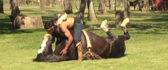 horseyoga