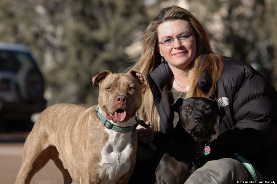 Michael Vick Dogs  Best Friends Animal Society