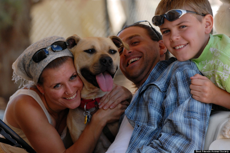 Ex-Steeler Michael Vick shares life lessons on dog fighting and his faith