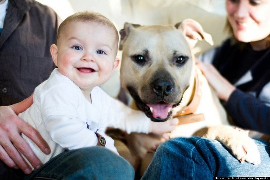 Ex-Steeler Michael Vick shares life lessons on dog fighting and his faith