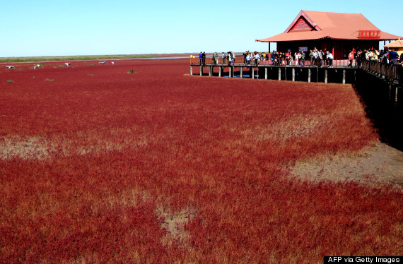 red beach panjin