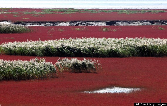 red beach china