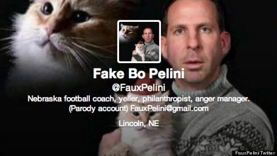 faux pelini