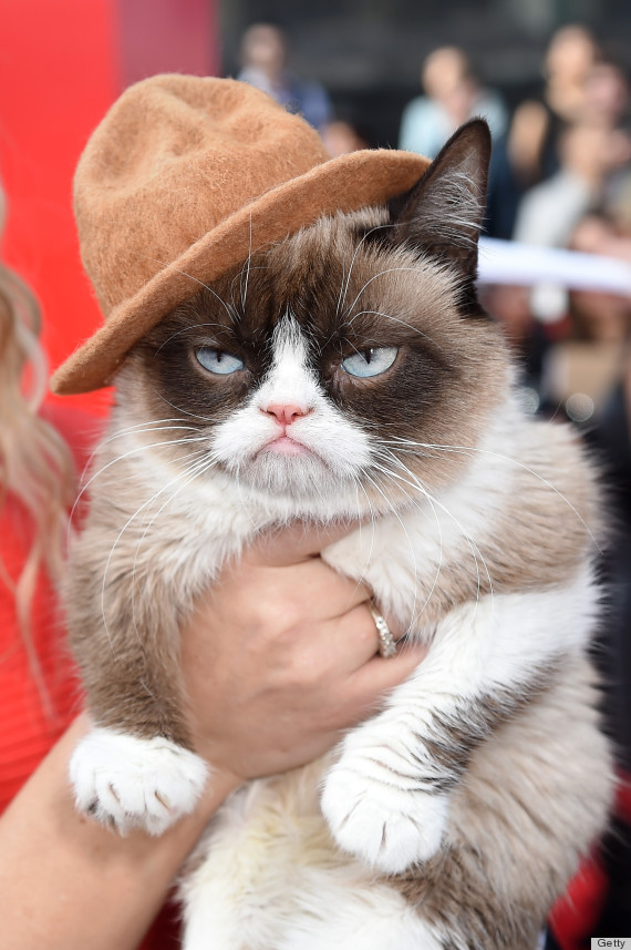 Grumpy Cat pays a visit to Vogue - Stylewatch, Fashion