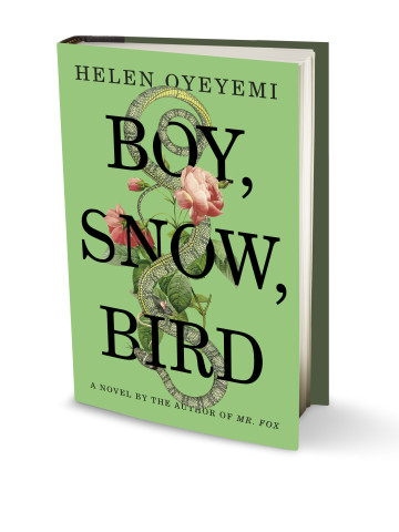 boy snow bird