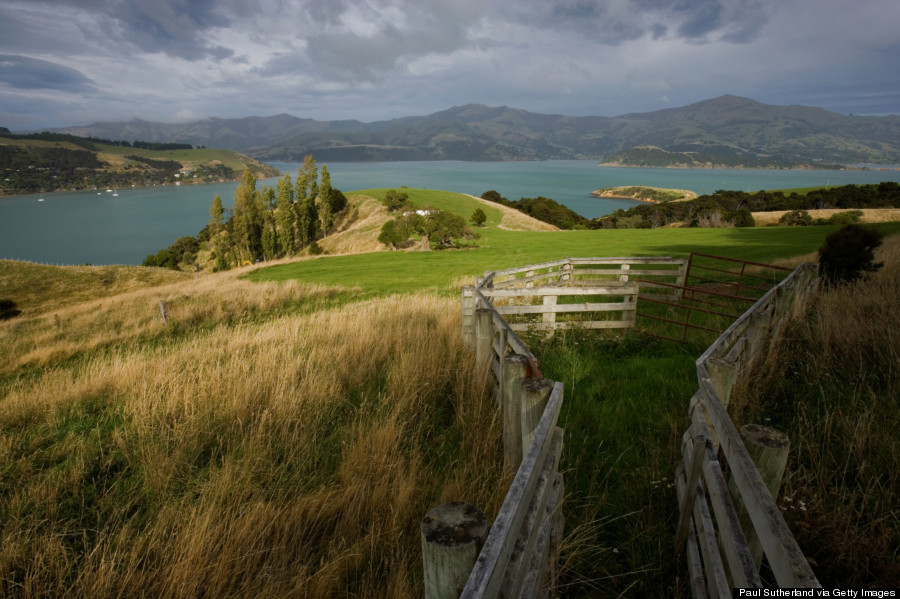 akaroa harbour