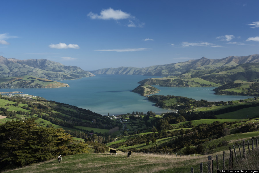 akaroa harbour