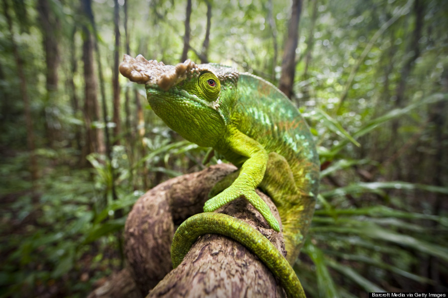 Madagascar Rainforest Climate