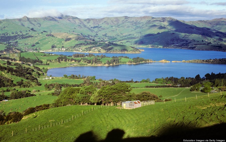 akaroa harbour