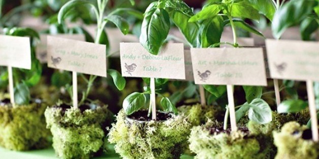Eco Friendly Wedding Huffpost Weddings