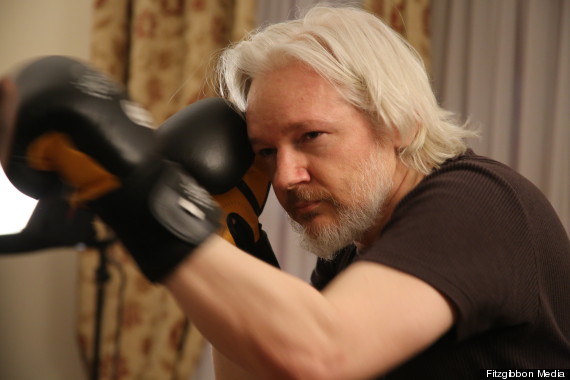 julian assange boxing