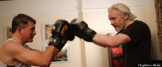 julian assange boxing