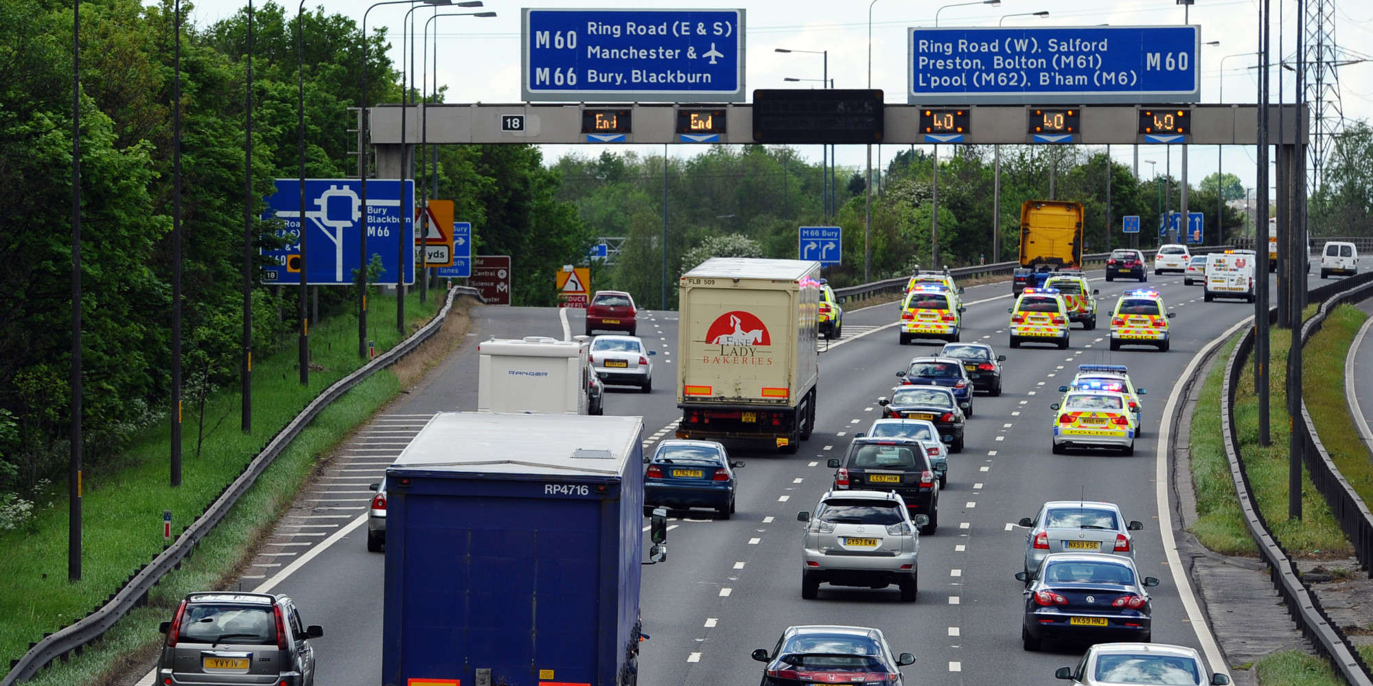 Dog On The Loose On M60, Causing Traffic Chaos, Having A Great Time ...