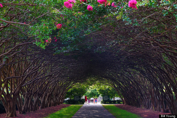 Your Weekly Travel Zen: City Parks And Gardens | HuffPost
