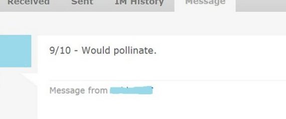 pollinate