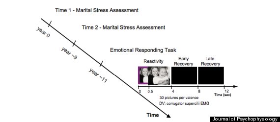 study timeline