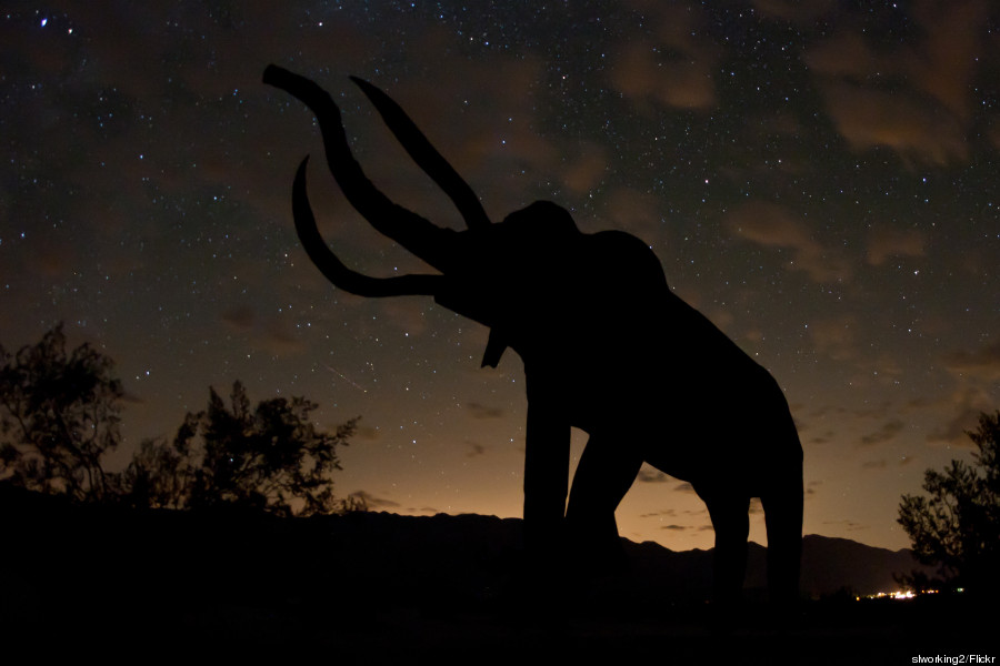 anza borrego desert park sculptures