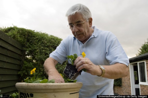 older person gardening