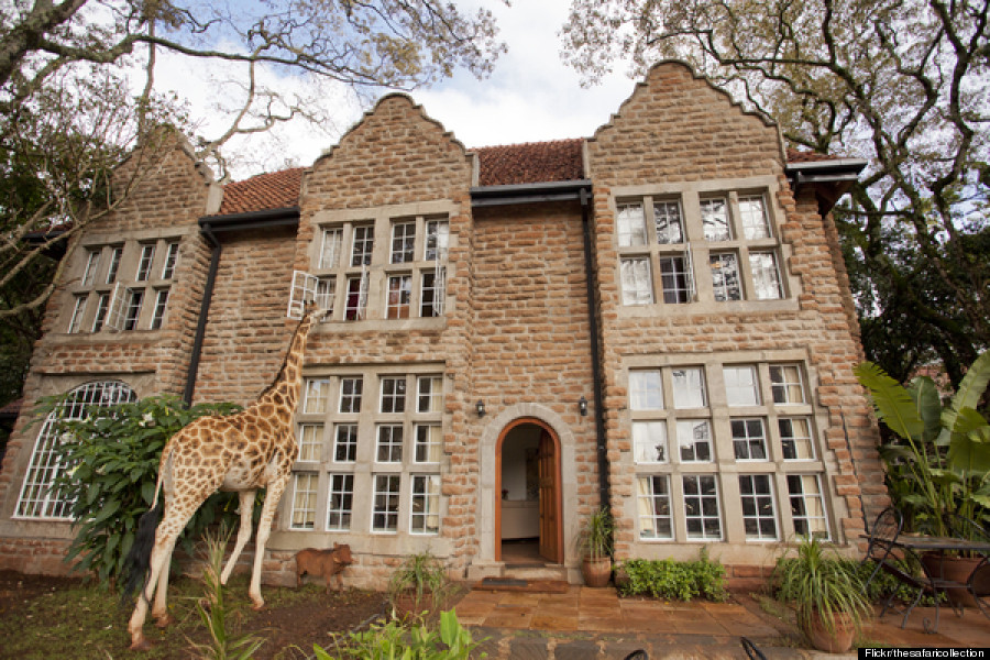 giraffe manor