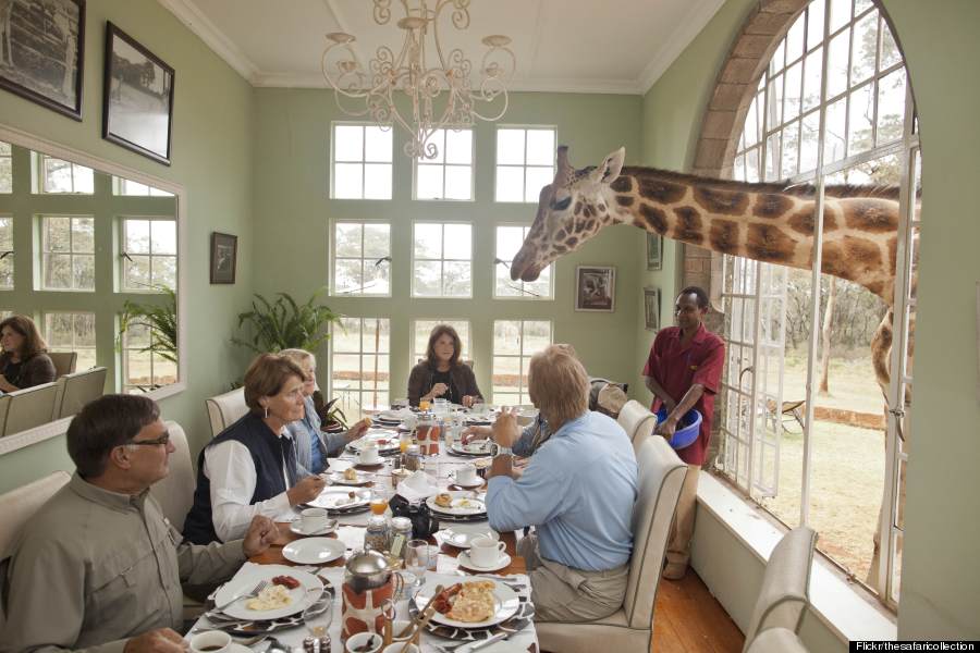 giraffe manor breakfast