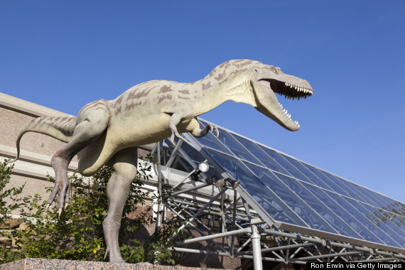 royal tyrrell museum of paleontology