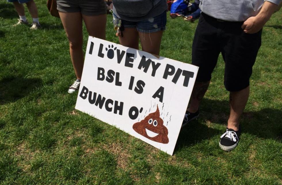 bsl