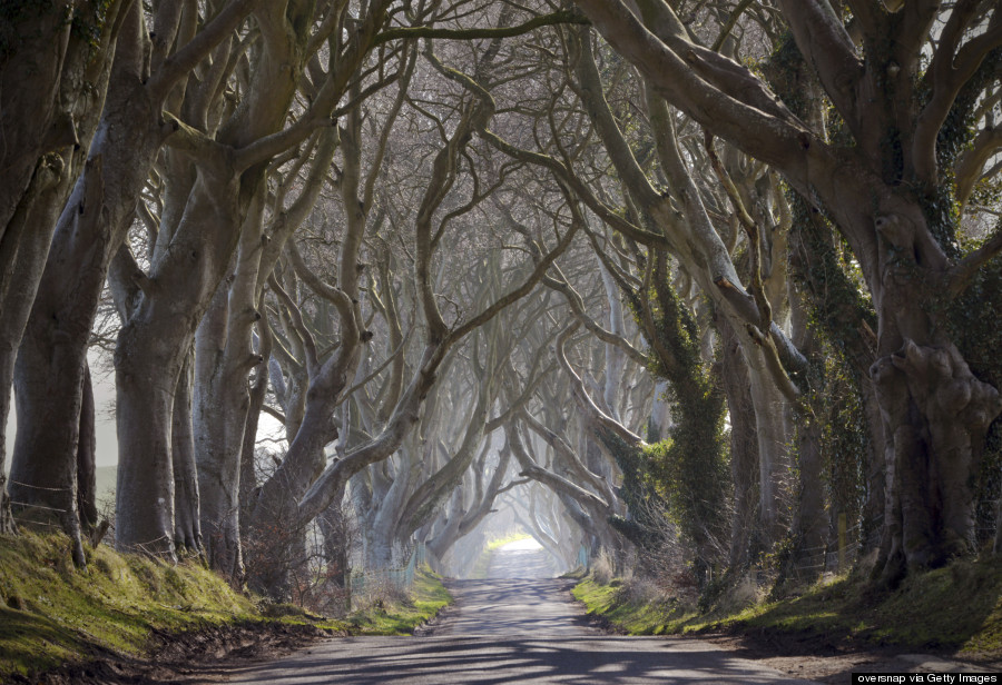 dark hedges ireland