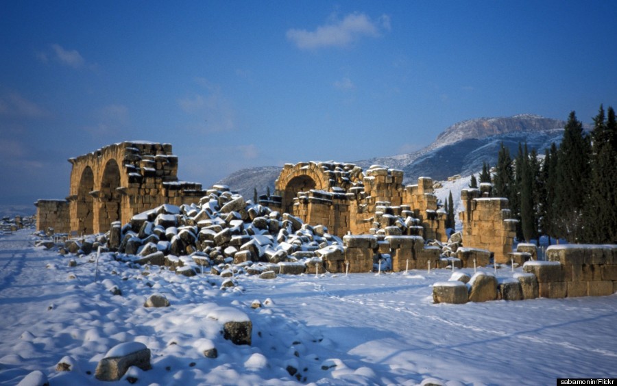 plutos gate turkey