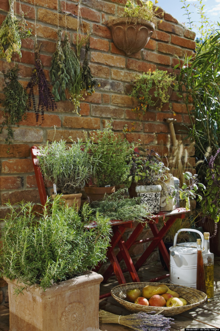 hanging garden